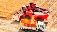 <strong>帮力我国农业加快</strong>